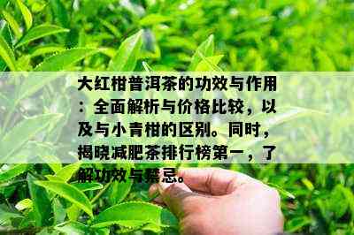 大红柑普洱茶的功效与作用：全面解析与价格比较，以及与小青柑的区别。同时，揭晓减肥茶排行榜之一，了解功效与禁忌。