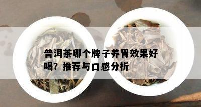 普洱茶哪个牌子养胃效果好喝？推荐与口感分析