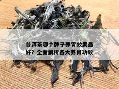 普洱茶哪个牌子养胃效果更好？全面解析各大养胃功效