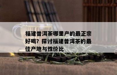 福建普洱茶哪里产的最正宗好喝？探讨福建普洱茶的更佳产地与性价比