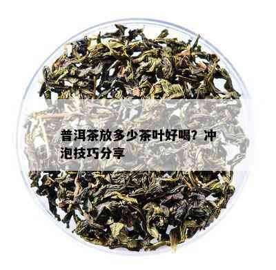 普洱茶放多少茶叶好喝？冲泡技巧分享