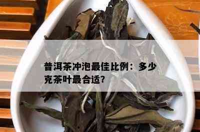 普洱茶冲泡更佳比例：多少克茶叶最合适？