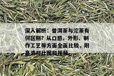 深入解析：普洱茶与沱茶有何区别？从口感、外形、制作工艺等方面全面比较，附高清对比图和视频。