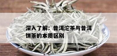 深入了解：普洱沱茶与普洱饼茶的本质区别