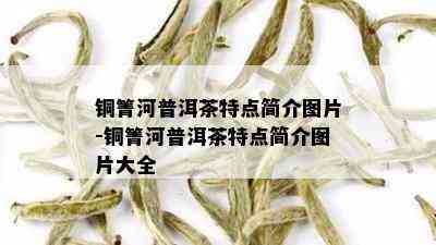 铜箐河普洱茶特点简介图片-铜箐河普洱茶特点简介图片大全