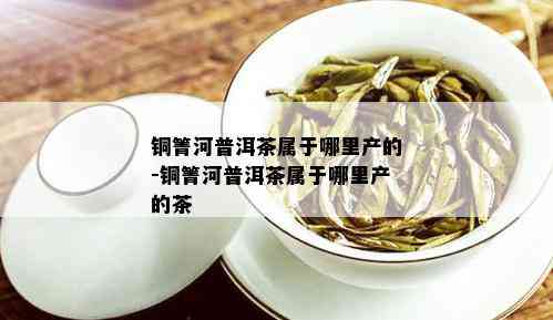 铜箐河普洱茶属于哪里产的-铜箐河普洱茶属于哪里产的茶