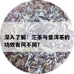 深入了解：沱茶与普洱茶的功效有何不同？