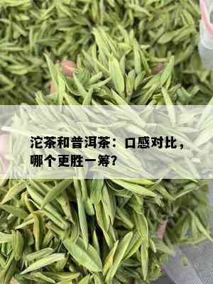 沱茶和普洱茶：口感对比，哪个更胜一筹？