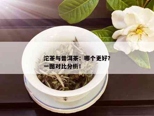 沱茶与普洱茶：哪个更好？一图对比分析！