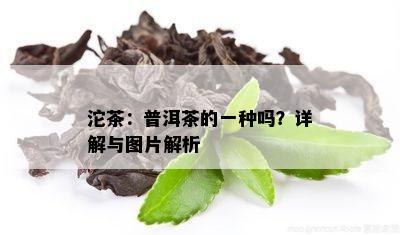 沱茶：普洱茶的一种吗？详解与图片解析