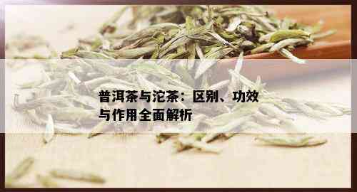 普洱茶与沱茶：区别、功效与作用全面解析