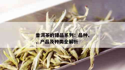 普洱茶的臻品系列：品种、、产品及种类全解析