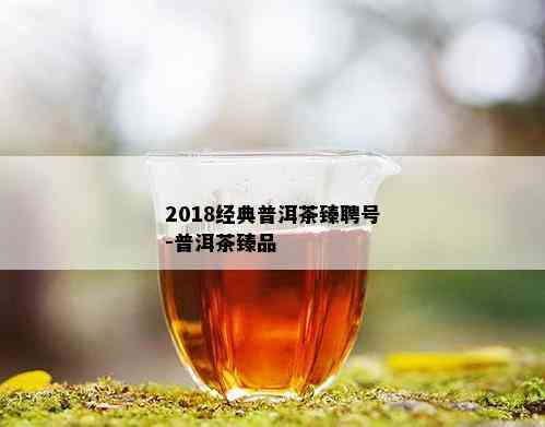 2018经典普洱茶臻聘号-普洱茶臻品