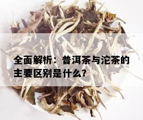 全面解析：普洱茶与沱茶的主要区别是什么？