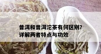 普洱和普洱沱茶有何区别？详解两者特点与功效