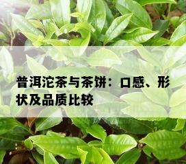 普洱沱茶与茶饼：口感、形状及品质比较