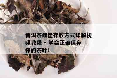 普洱茶更佳存放方式详解视频教程 - 学会正确保存你的茶叶！