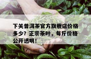 下关普洱茶官方旗舰店价格多少？正宗茶叶，每斤价格公开透明！