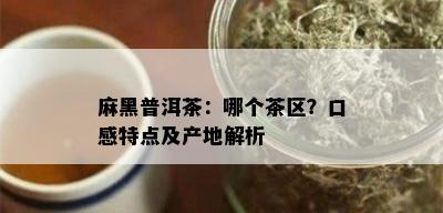 麻黑普洱茶：哪个茶区？口感特点及产地解析