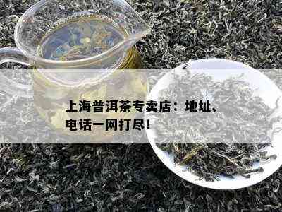 上海普洱茶专卖店：地址、电话一网打尽！