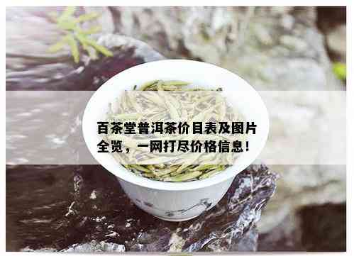 百茶堂普洱茶价目表及图片全览，一网打尽价格信息！