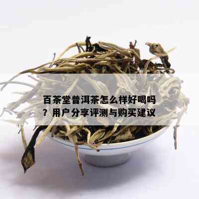 百茶堂普洱茶怎么样好喝吗？用户分享评测与购买建议