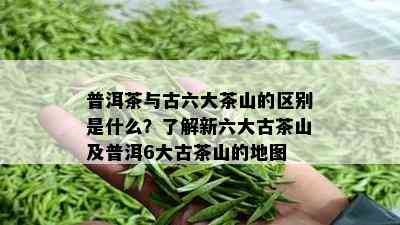 普洱茶与古六大茶山的区别是什么？了解新六大古茶山及普洱6大古茶山的地图