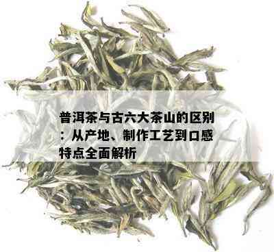 普洱茶与古六大茶山的区别：从产地、制作工艺到口感特点全面解析