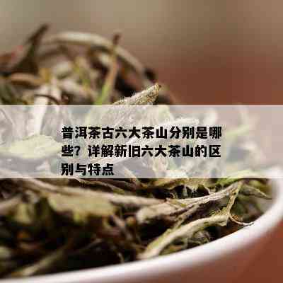 普洱茶古六大茶山分别是哪些？详解新旧六大茶山的区别与特点