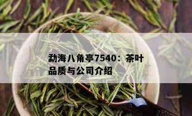 勐海八角亭7540：茶叶品质与公司介绍