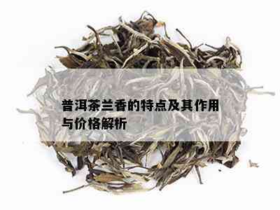 普洱茶兰香的特点及其作用与价格解析