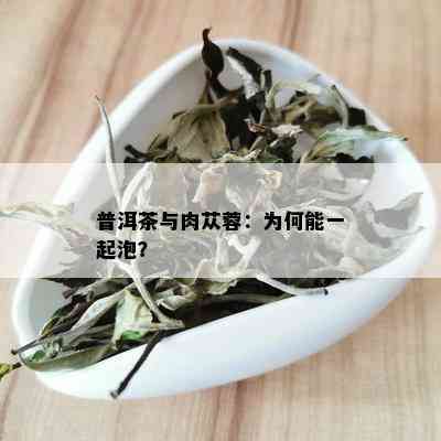 普洱茶与肉苁蓉：为何能一起泡？