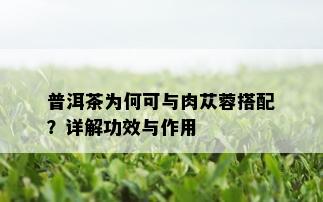 普洱茶为何可与肉苁蓉搭配？详解功效与作用