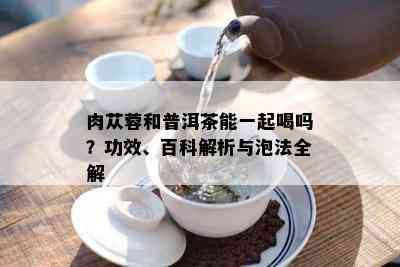 肉苁蓉和普洱茶能一起喝吗？功效、百科解析与泡法全解