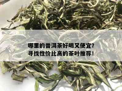 哪里的普洱茶好喝又便宜？寻找性价比高的茶叶推荐！