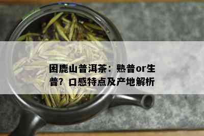 困鹿山普洱茶：熟普or生普？口感特点及产地解析