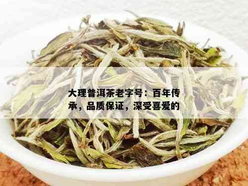 大理普洱茶老字号：百年传承，品质保证，深受喜爱的