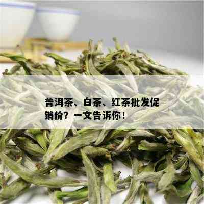 普洱茶、白茶、红茶批发促销价？一文告诉你！