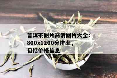 普洱茶图片高清图片大全：800x1200分辨率，包括价格信息