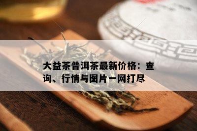 大益茶普洱茶最新价格：查询、行情与图片一网打尽