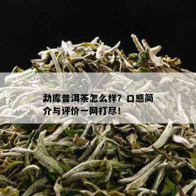 勐库普洱茶怎么样？口感简介与评价一网打尽！