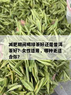 减肥期间喝绿茶好还是普洱茶好？女性适用，哪种更适合你？