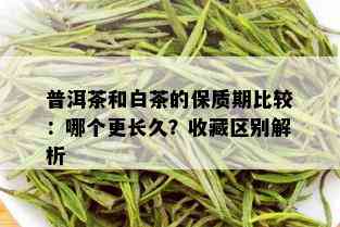 普洱茶和白茶的保质期比较：哪个更长久？收藏区别解析