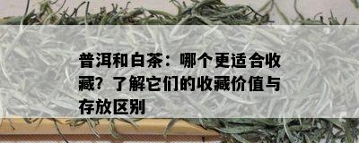 普洱和白茶：哪个更适合收藏？了解它们的收藏价值与存放区别