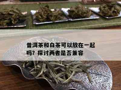 普洱茶和白茶可以放在一起吗？探讨两者是否兼容