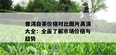 普洱白茶价格对比图片高清大全：全面了解市场价格与趋势