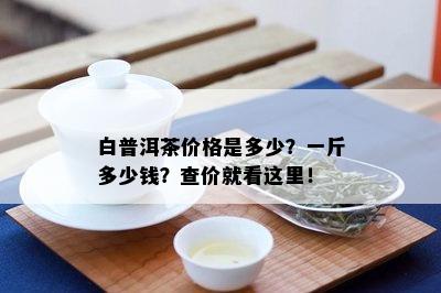 白普洱茶价格是多少？一斤多少钱？查价就看这里！