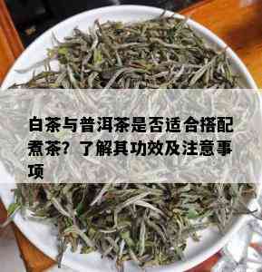 白茶与普洱茶是否适合搭配煮茶？了解其功效及注意事项