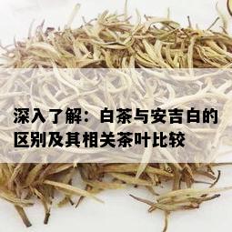 深入了解：白茶与安吉白的区别及其相关茶叶比较