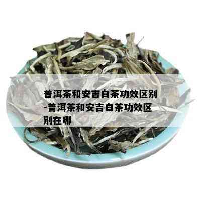 普洱茶和安吉白茶功效区别-普洱茶和安吉白茶功效区别在哪